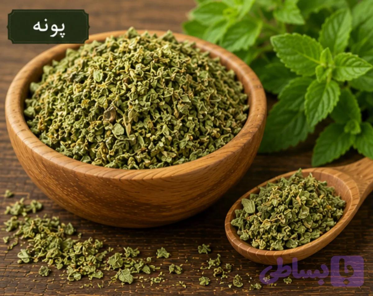 پونه خشک/100 گرمی