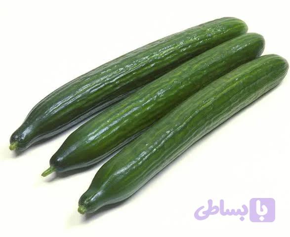 بذر خیار زمینی هیبرید آفیسر F1 شرکت کلوز فرانسه