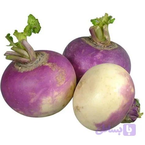 بذر شلغم دو رنگ وسترن پرپل تاپ وایت گلوب PURPLE TOP WHITE GLOBE