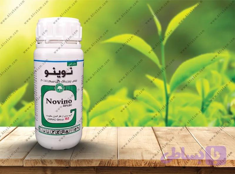 نوینو‌ گلسم گرگان