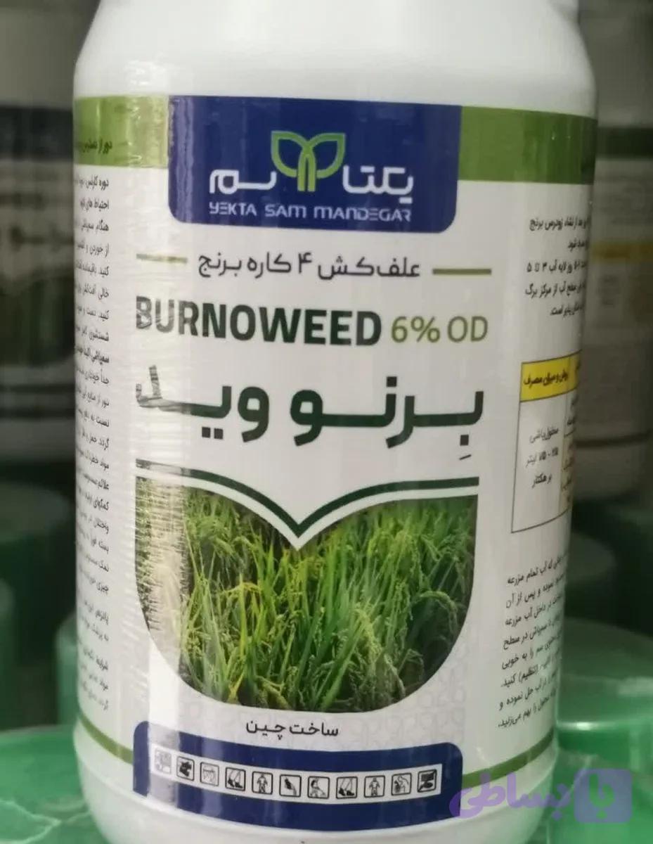برنووید