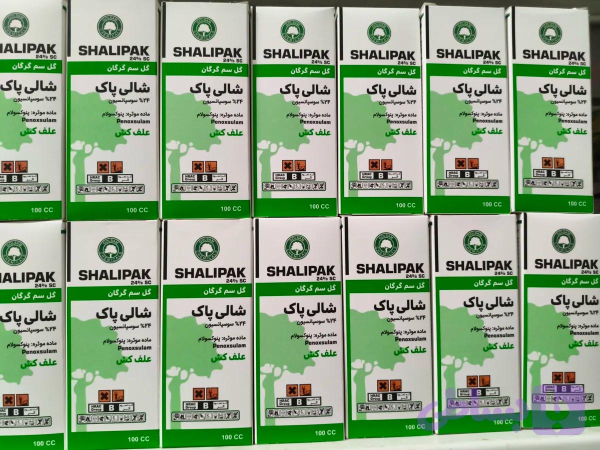 شالی پاک گلسم