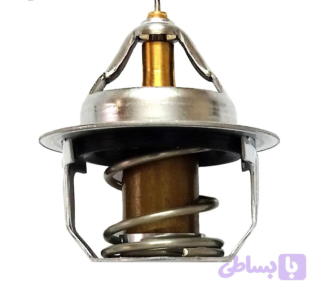 ترموستات ریو چینی