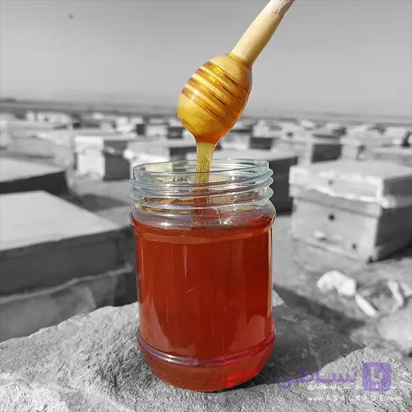 عسل کنار صاف شده – ارگانیک — تصویر 1