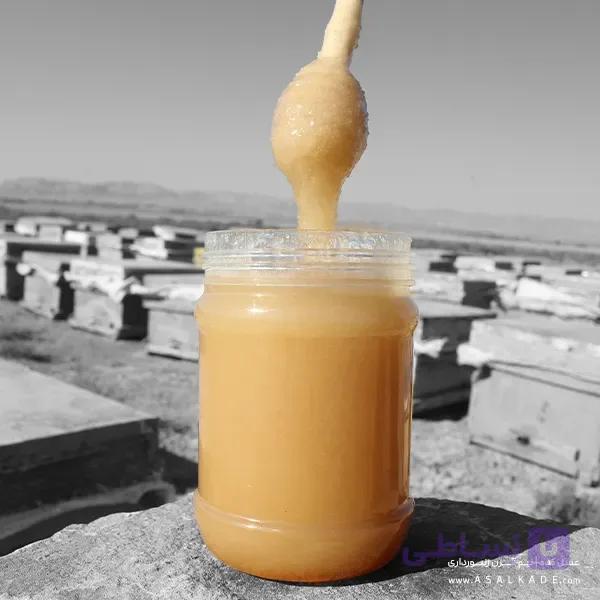 عسل رویال تقویتی ارگانیک – 100 گرمی — تصویر 1