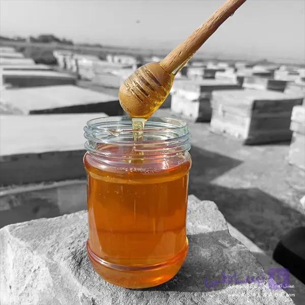 عسل خارشتر صاف شده – ارگانیک — تصویر 1