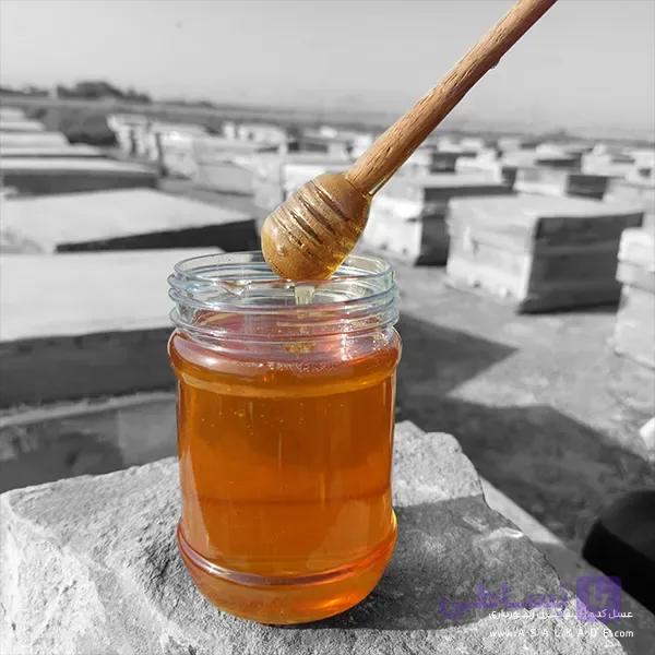 عسل بهارنارنج صاف شده – ارگانیک — تصویر 1