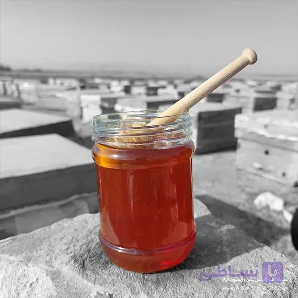 عسل گشنیز صاف شده – ارگانیک — تصویر 1