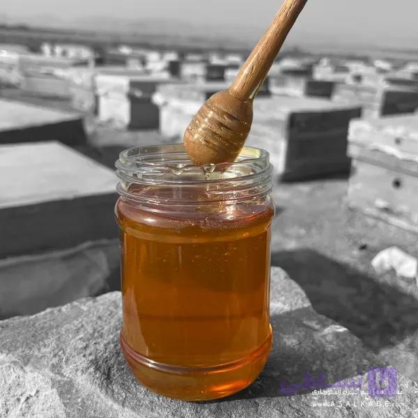 عسل گون صاف شده – ارگانیک — تصویر 1