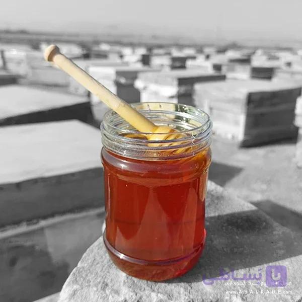 عسل آویشن صاف شده – ارگانیک — تصویر 1