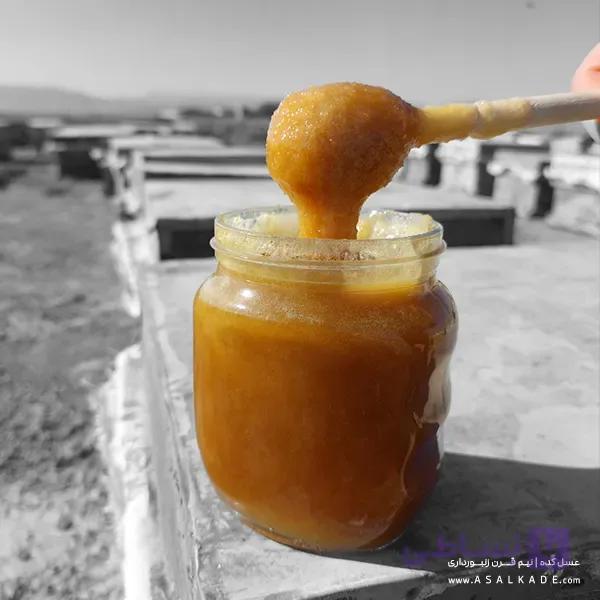 عسل گشنیز خام – ارگانیک — تصویر 1