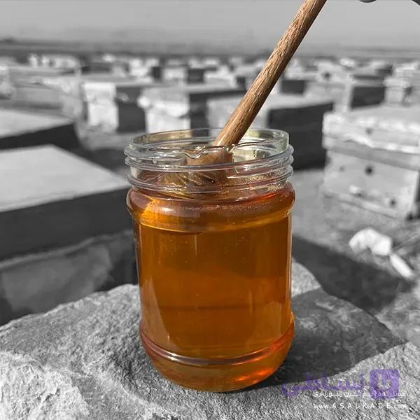 عسل محرمانه صاف شده – ارگانیک — تصویر 1