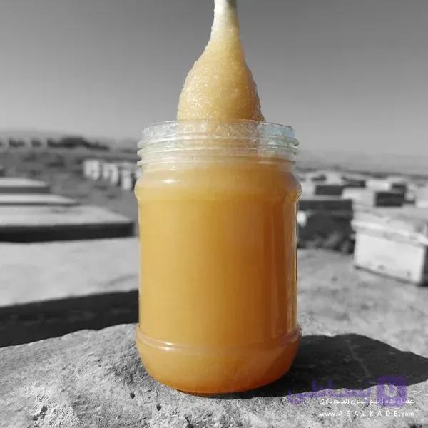 عسل بهارنارنج خام – ارگانیک — تصویر 1
