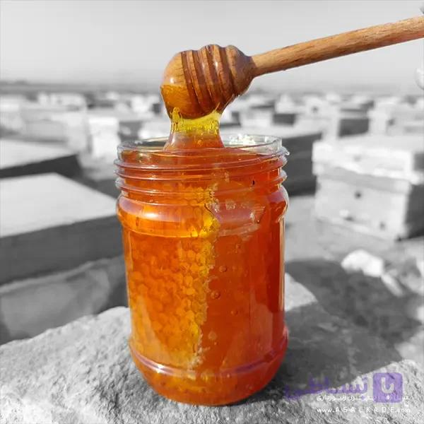 عسل کنار موم دار – ارگانیک — تصویر 1