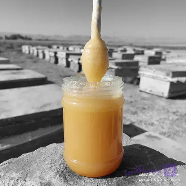 عسل خارشتر خام – ارگانیک — تصویر 1