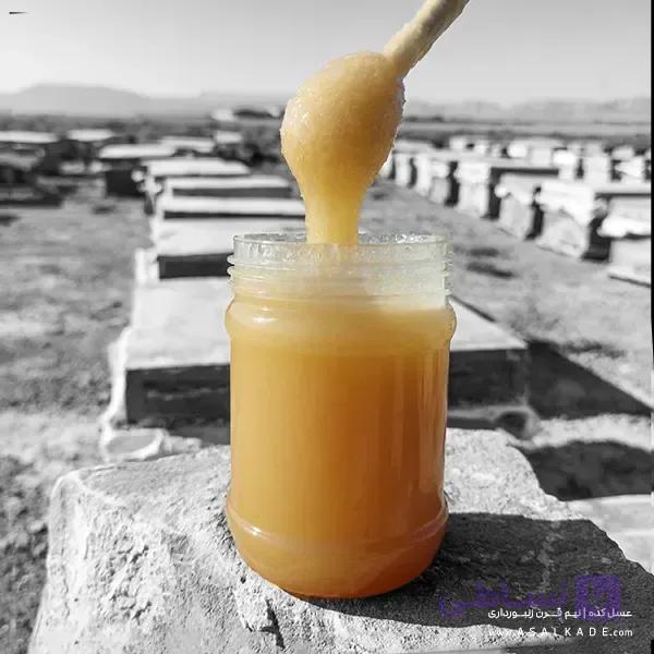 عسل گون خام – ارگانیک — تصویر 1