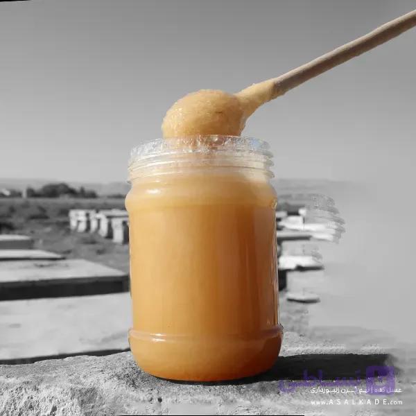 عسل رویال تقویتی ارگانیک – 500 گرمی