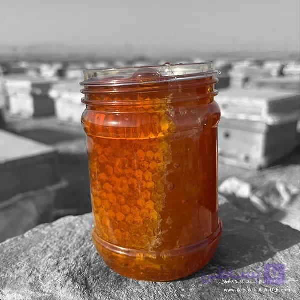 عسل گشنیز موم دار – ارگانیک — تصویر 1