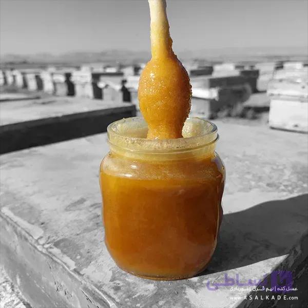 عسل کنار خام – ارگانیک — تصویر 1