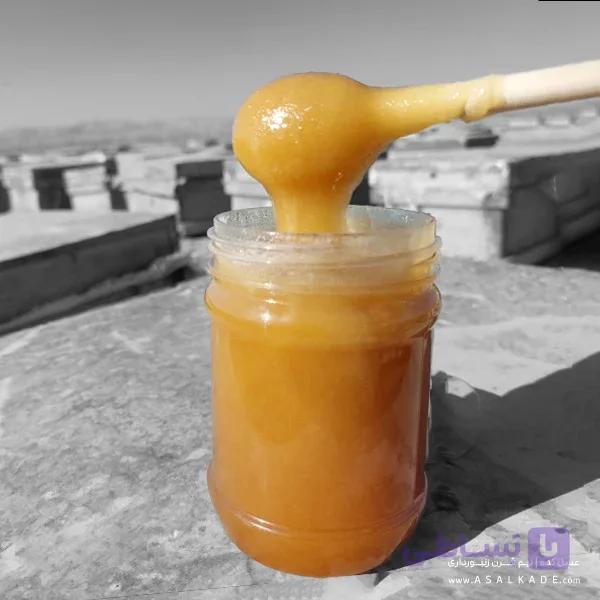 عسل محرمانه خام – ارگانیک — تصویر 1