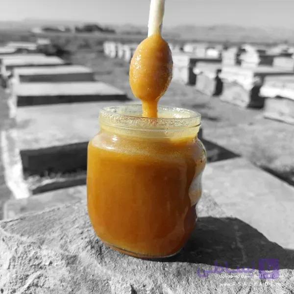عسل آویشن خام – ارگانیک — تصویر 1