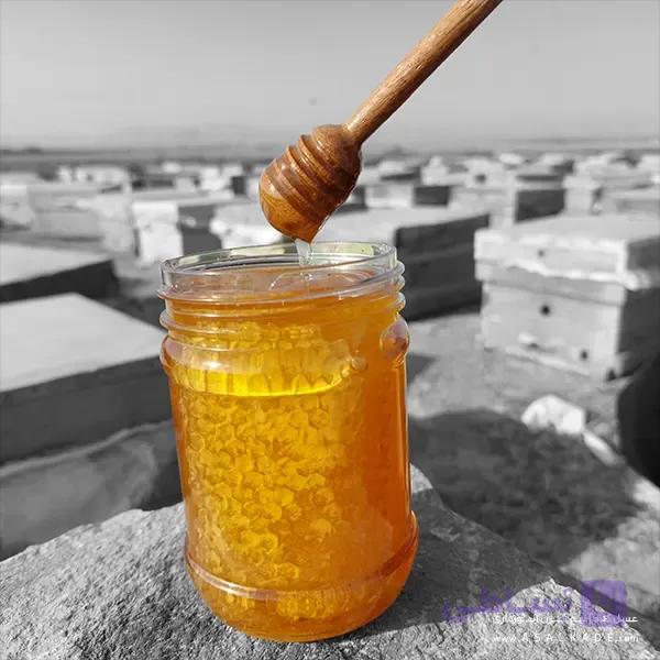 عسل بهارنارنج موم دار – ارگانیک — تصویر 1