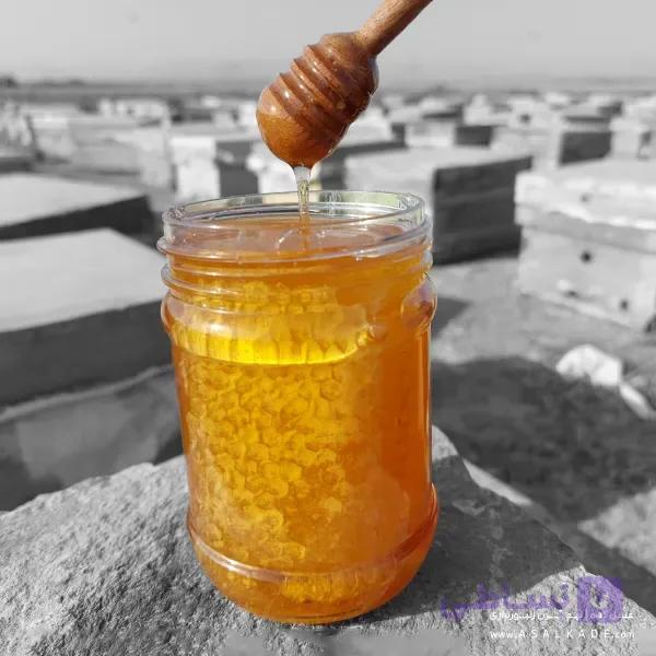 عسل خارشتر موم دار – ارگانیک — تصویر 1