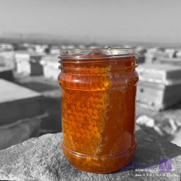 عسل اسطوخدوس موم دار – ارگانیک — تصویر 1