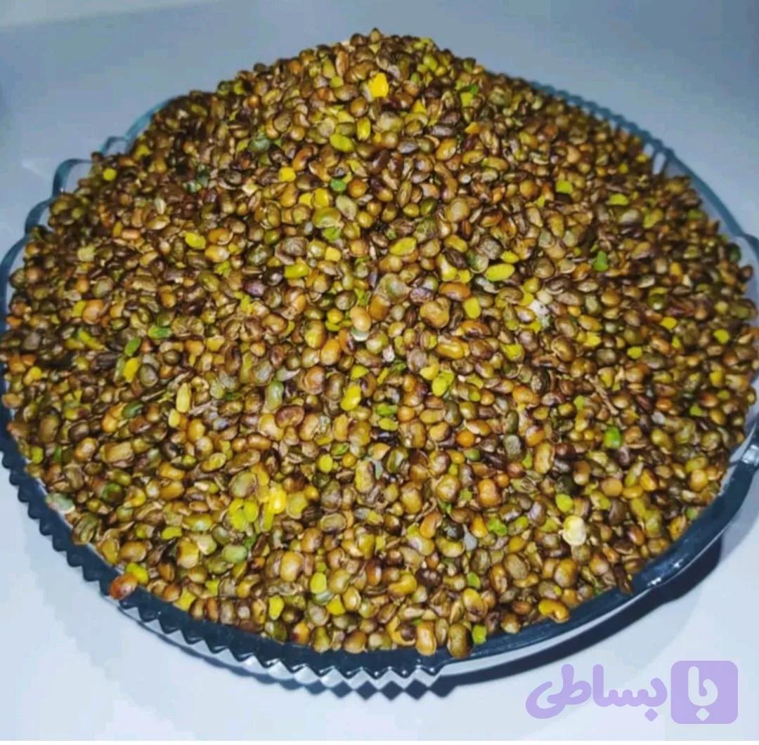 مغز بنه کوهی عمده