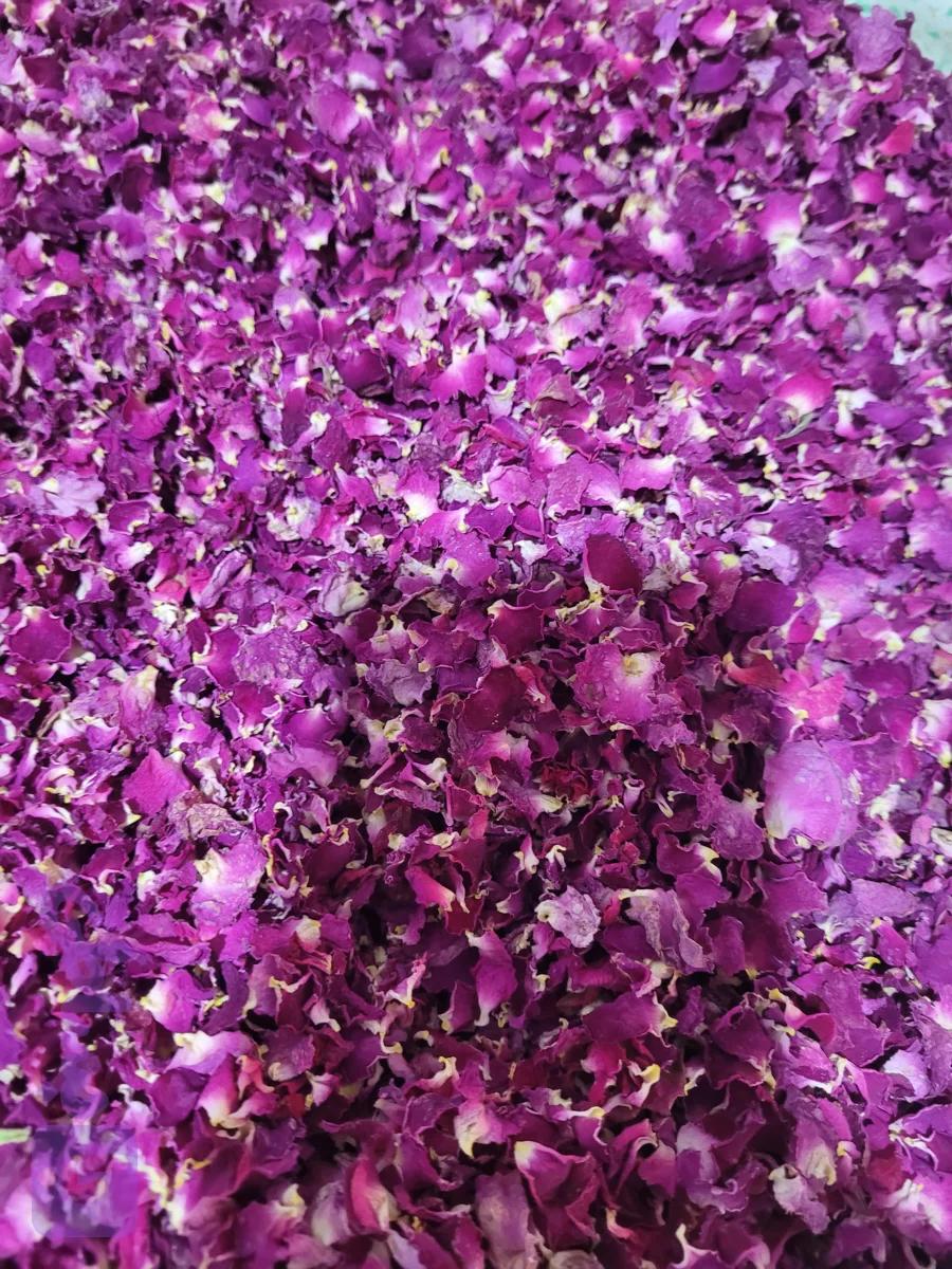 دمنوش گل محمدی