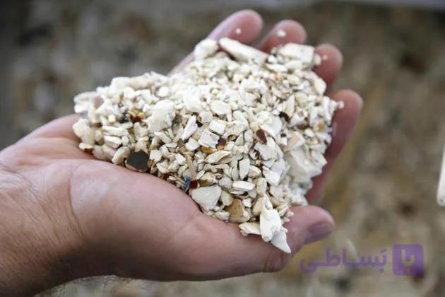 پودر عاج فیل (50گرمی )