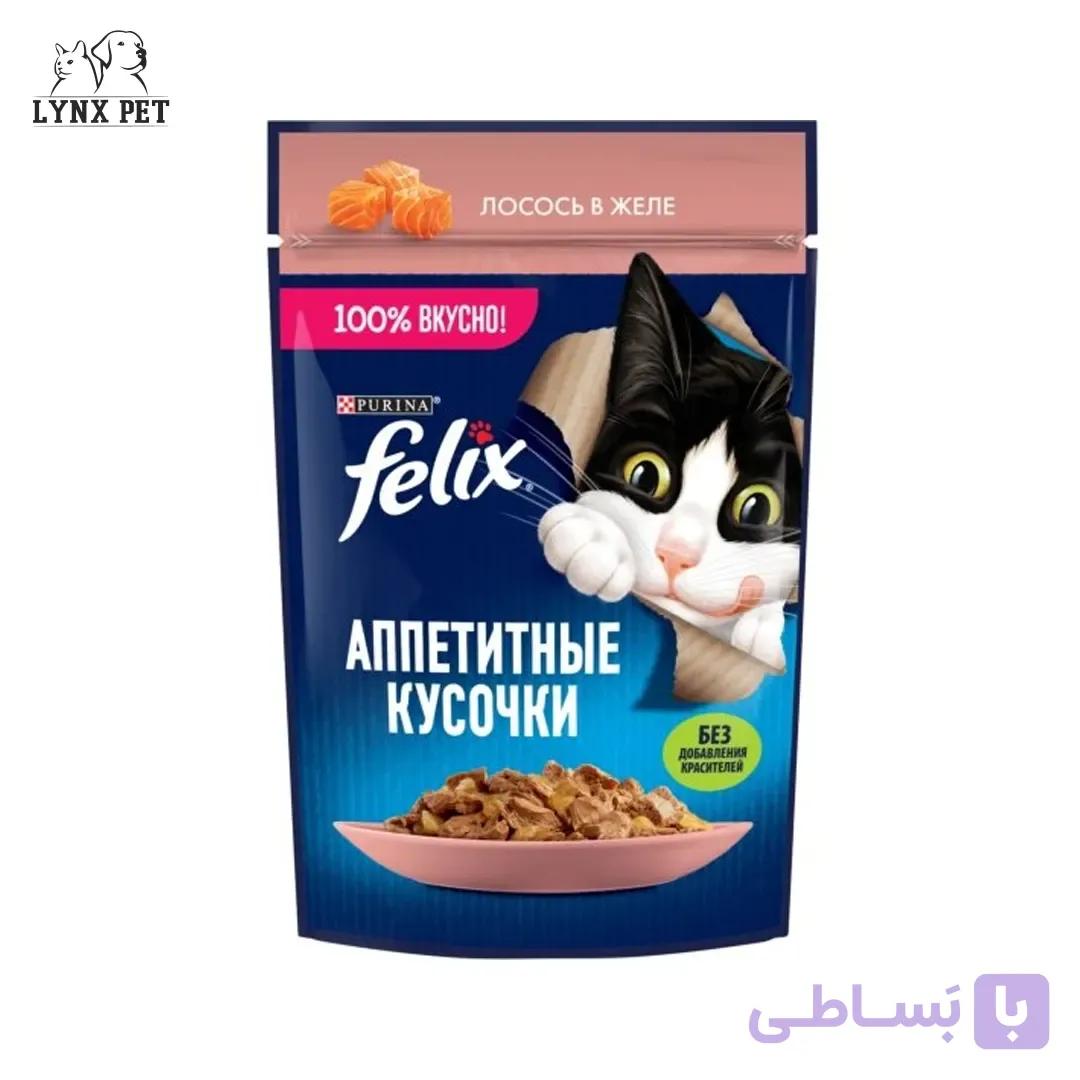 پوچ گربه سالمون در ژله فلیکس