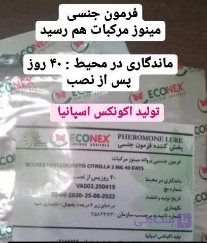 فرمون جنسی مینوز مرکبات