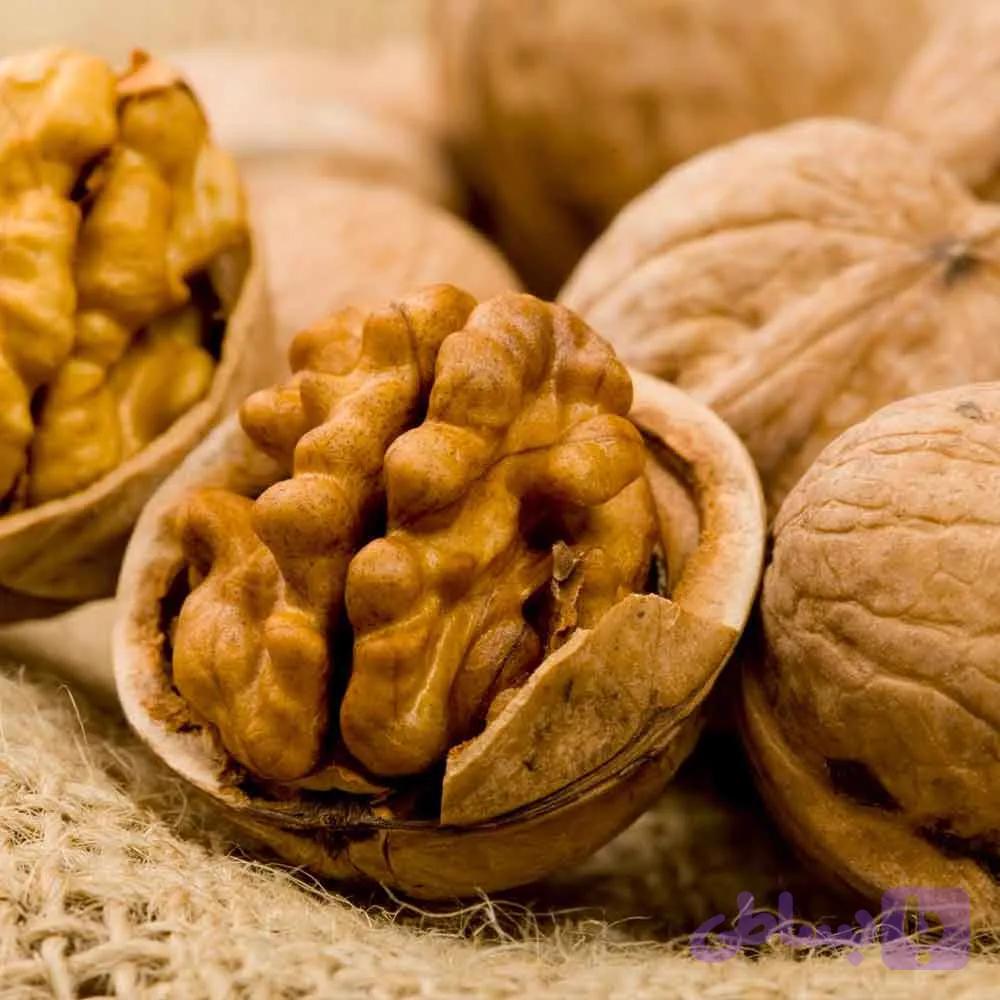 گردو مراغه
