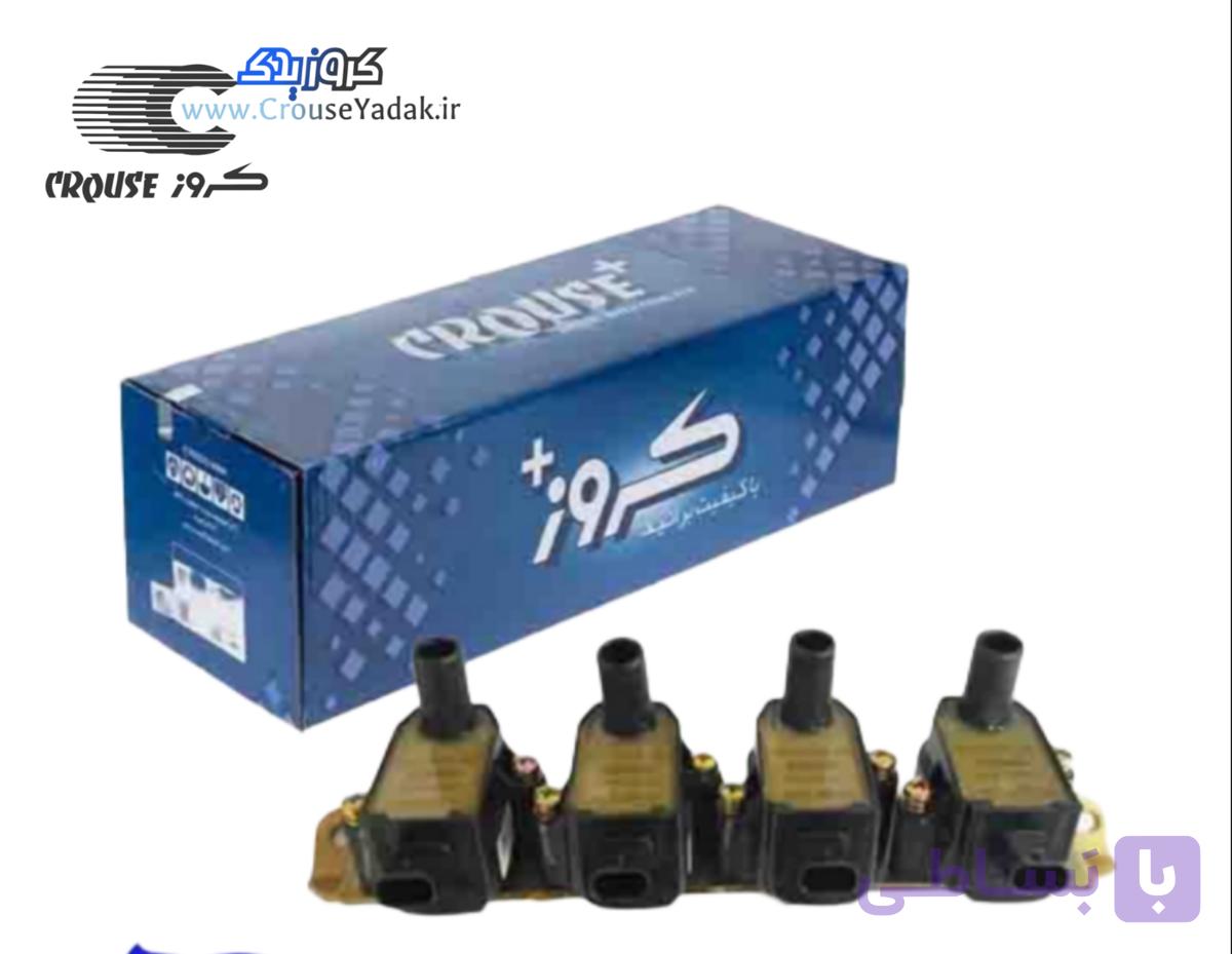 کوئل شاهین کروز