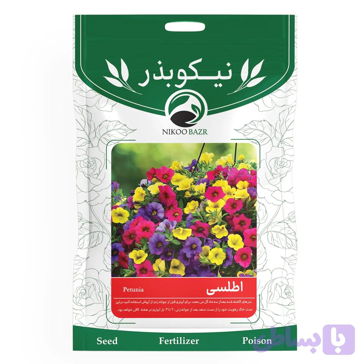بذر گل اطلسی نیکوبذر — تصویر 1