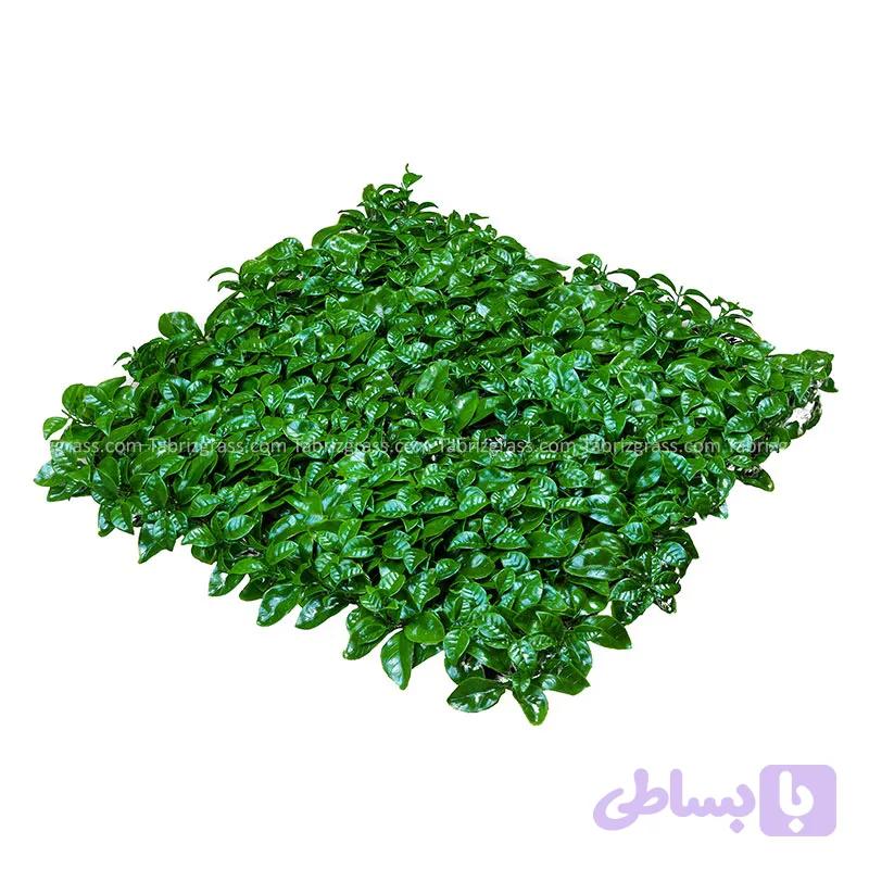 دیوار سبز پرتقالی — تصویر 1