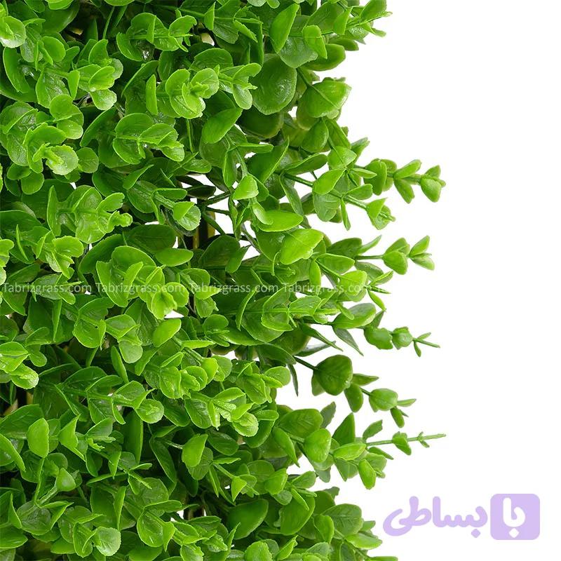 دیوار سبز شمشاد تک رنگ — تصویر 1