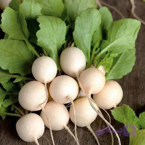 بذر تربچه سفید نقلی