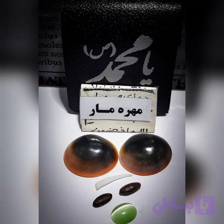 مهره مار افعی سیاه