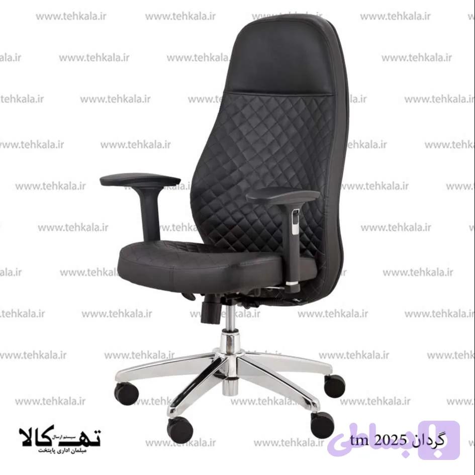 صندلی گردان tm 2025 — تصویر 1
