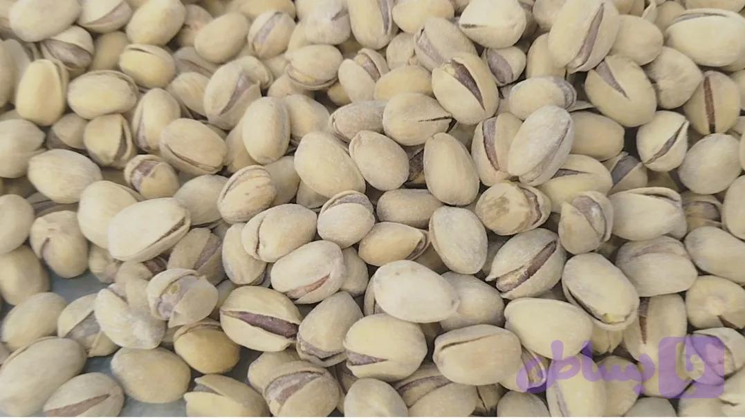 پسته کله قوچی تنوری