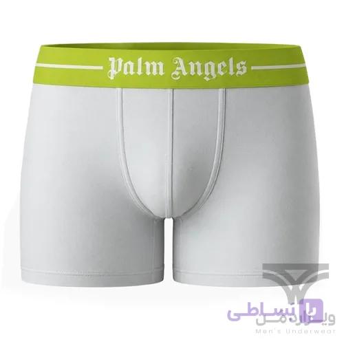 شورت مردانه باکسر بریف اورجینال وارداتی برند Palm Angels سفید کش سبز فسفری 4 سانتی — تصویر 1