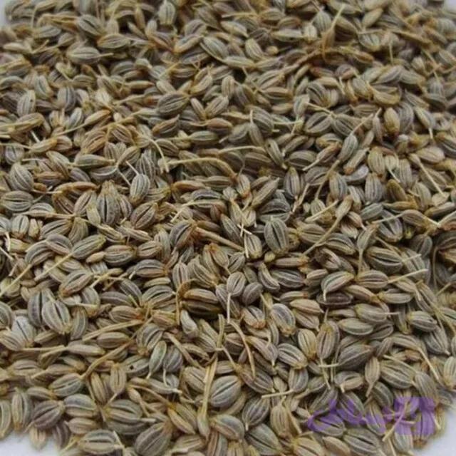 بذر جعفری (100 گرم)