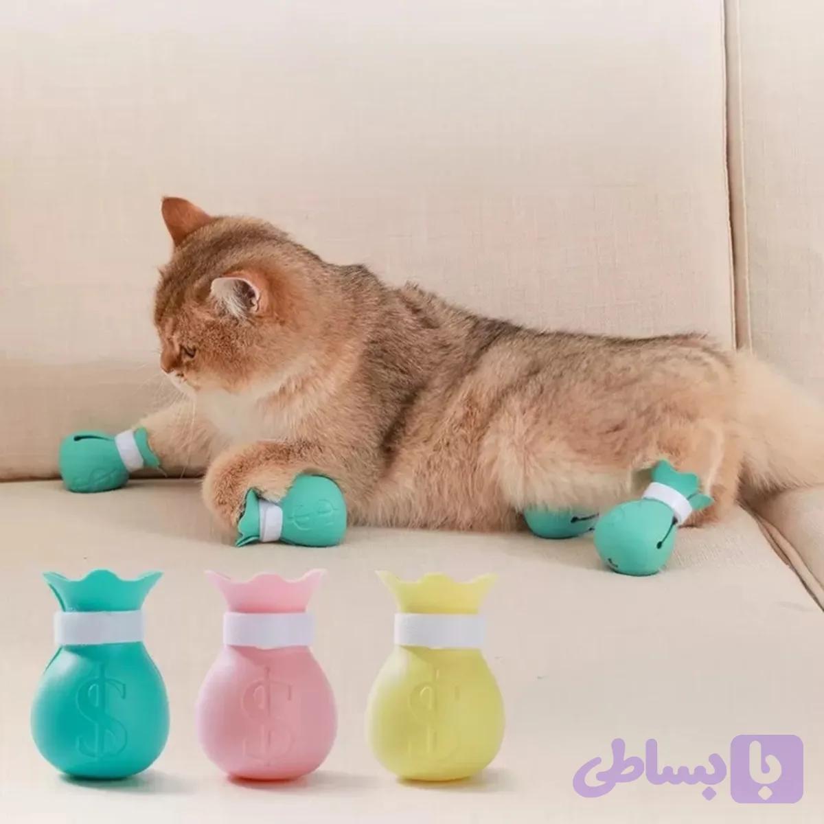 کفش ایمنی گربه