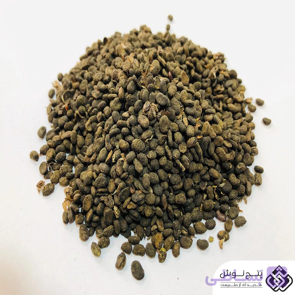 دانه بابچی ( درمان بیماری پوستی ویتیلیگو ) 50گرمی — تصویر 1