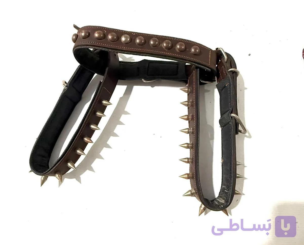 قلاده سگ های بیگ سایز — تصویر 1