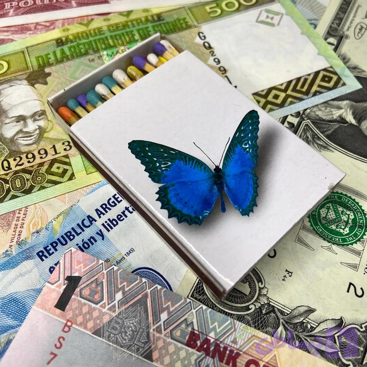 کبریت توکلی پروانه آبی — تصویر 1