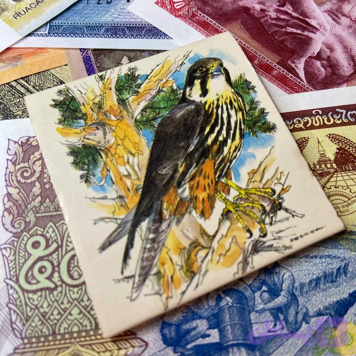 کبریت کتابی مدل شاهین — تصویر 1