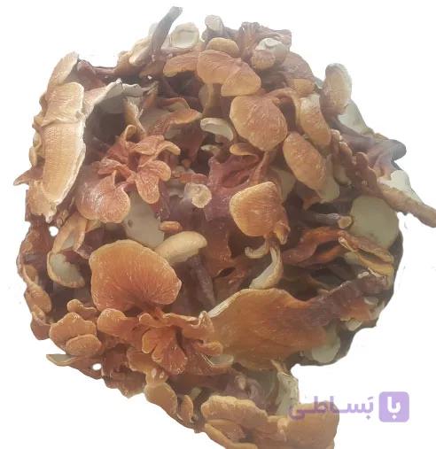 قارچ گانودرما (فله نیم کیلویی) زرد